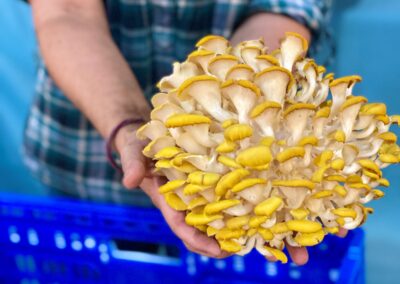 The Norris Farmstand